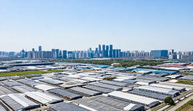 处理方法中技术适配方案的两种实践比较